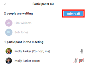 Using the Zoom Waiting Room