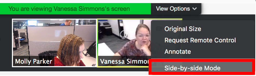 Using Side-by-Side Mode in Zoom