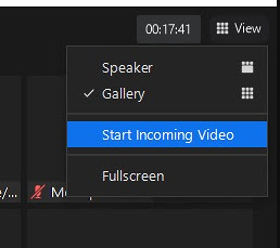 Stopping Incoming Video in Zoom